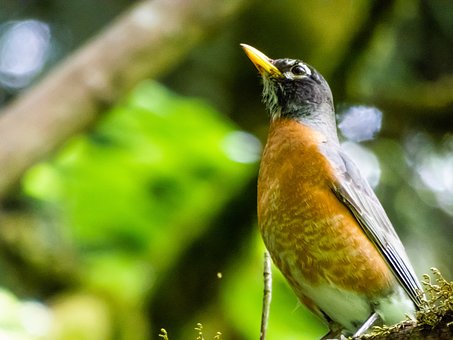 中学生早恋家长应该怎样处理