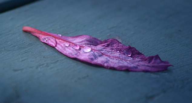 ߿ѧ144־̸ս౸ս߿