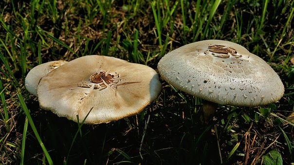 父母关注孩子心理健康的做法