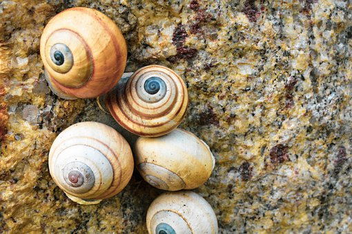 体罚不是教育的主要手段,孩子更不能乱打