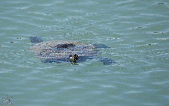 高二暑假最后的五十天:一个准高三生的实战安排