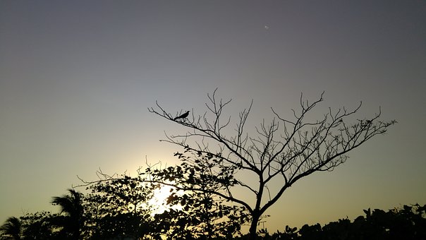 坚持高中教育的重要性