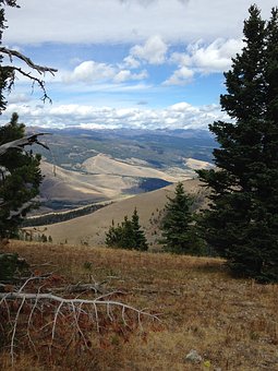 学习小提琴的好处