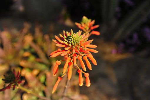 钢琴技巧的风格演变