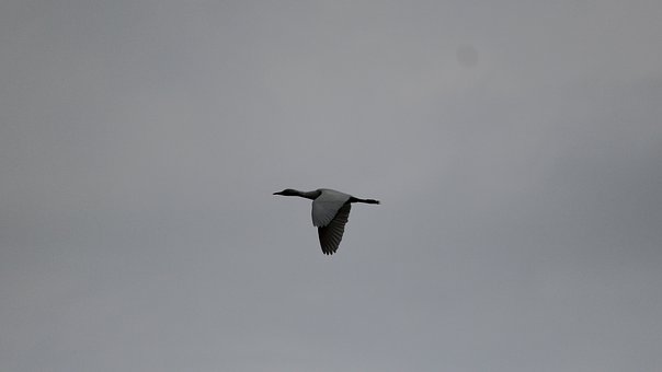 准高三生:每天只睡三个小时,还应该怎么努力?