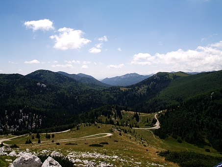 孩子不听话我都想放弃管他了