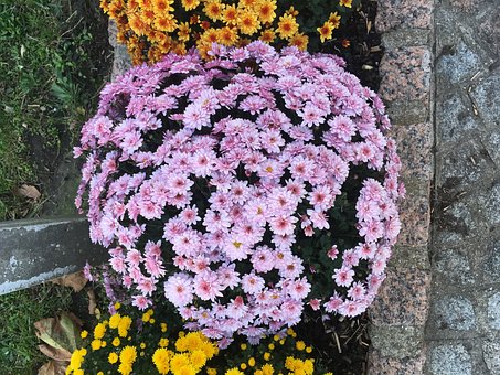 掌握3-5岁孩子的数数规律 快速教会孩子数数