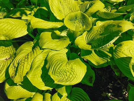 孩子叛逆的原因除了少数是孩子本身因素外大多数是因为