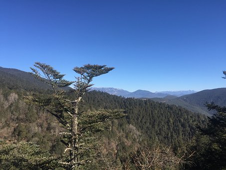 孩子遇到困难就放弃怎么办