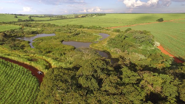 化学高考失分原因及对策