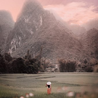 高考期间父母应使用哪些沟通技巧