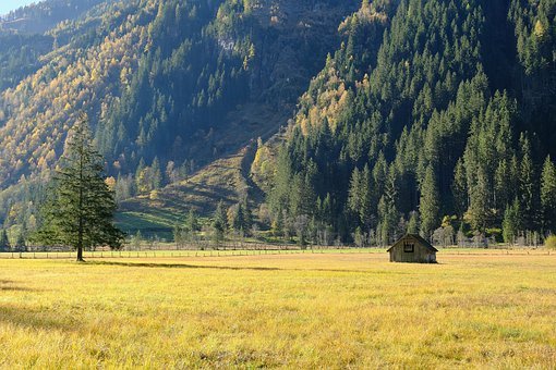 ��һ������޶�����֪ʶ�㣺��Ⱥ���������Щ�����������������