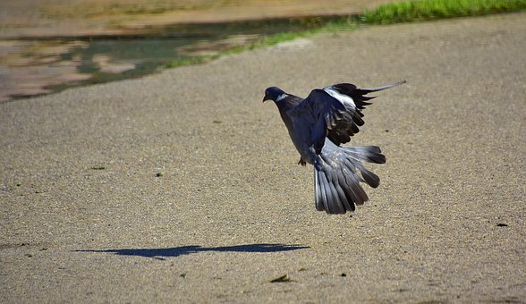 怎样通过电子琴考级