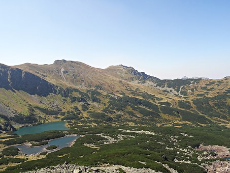 С�����νӣ���ΰﺢ�����³��С��볡ȯ����