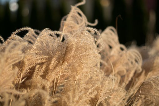 新SAT语法解题技巧之黄金法则