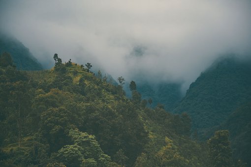 有逆反心理的孩子怎么教育