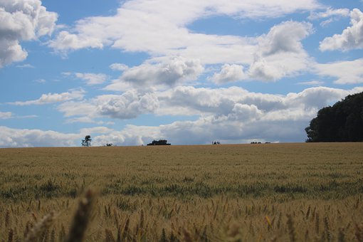 家长须知:不是所有孩子都适合出国留学