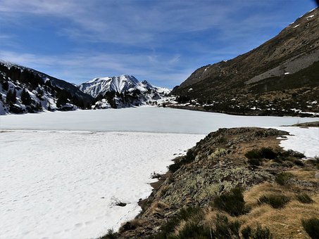 在孩子最需要陪伴的那几年,请不要缺席