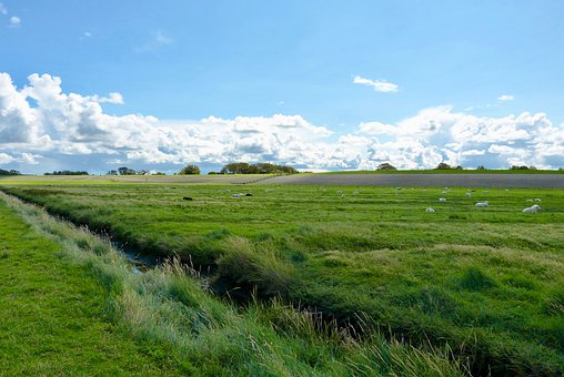 北京2014年高考英语科目分值将下调