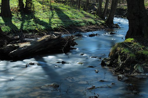 对家庭教育的一些思考和规划