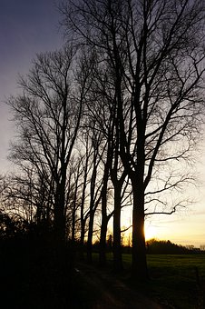 家长与孩子心理健康团体