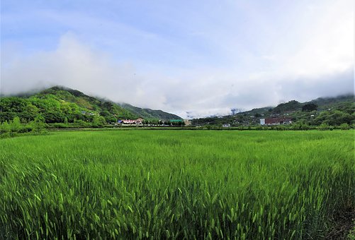 高效数学学习方法