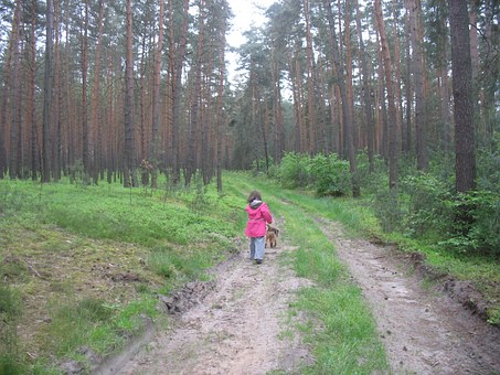 中央民族大学公布2010年各地高考录取分数线