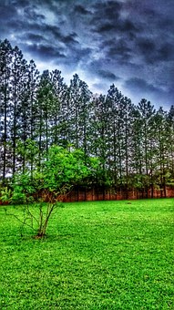 一位父亲写给刚入学的女儿的十句话