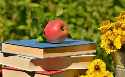 25、全面加强和改进党的建设的内容