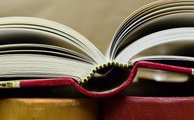 别指望找个名师就能躺赢啊！再好的老师也得...