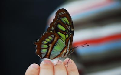 1、抓好各种的班团,队活动,充分发挥团队...