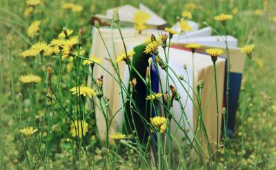 �á��㿴�������񲻿��ģ����ѹ����������򿪾���