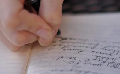 老鹰的特征与习性