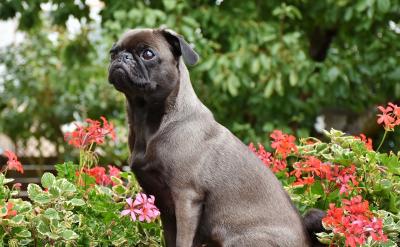 �����ɰ칫��ͳһ���䣬��⹤��������ð�...