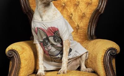 转移孩子的注意力