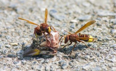 4�������뷽��