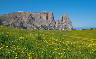 ͬʱע�⺢�ӵ���ʳ��ƽ����䣬����������...