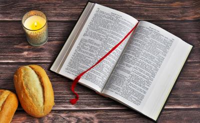 专家和教练一致认为:越早学越好,一些活跃...