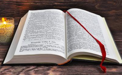 指出：10厘米的长度就是1分米（课件出示1分...