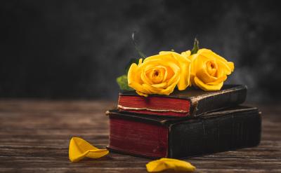 �������õļ�ͥ��������