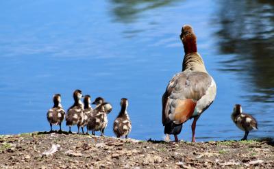 ���������ڵ�Ů��Ƣ��ͨ���Ƚϻ𱬣�������...