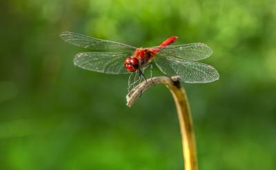 ��ĸ���Զ��й���ο�ѧ�������鼮����Ŀ��...