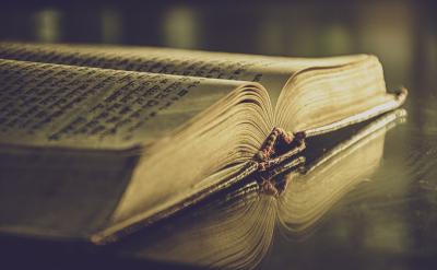 ����������ʱ����Ȼ��������Լ��仰��һ��...