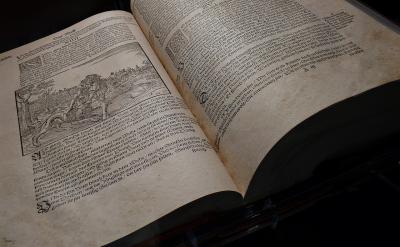 豆娘不仅是美丽的昆虫，还是重要的环境指示...