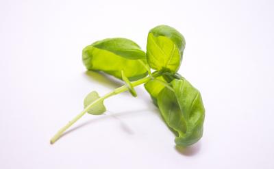 篇4：高一期中生物知识点归纳