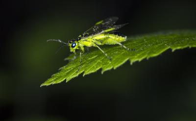 未来,随着科学技术的不断进步,我们有理由...