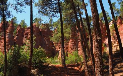 中国的父母太宠爱溺爱孩子了,只要自己有的...