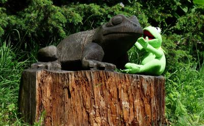 ���ġ�ע�����ݵ������Ժ����Ե��ν���