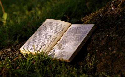 4���������õ�ѧϰϰ��