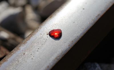 50.落红不是无情物,化作春泥更护花。——...